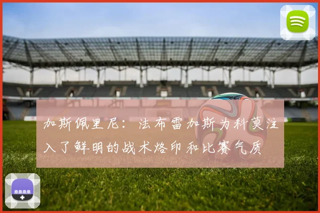 加斯佩里尼：法布雷加斯为科莫注入了鲜明的战术烙印和比赛气质
